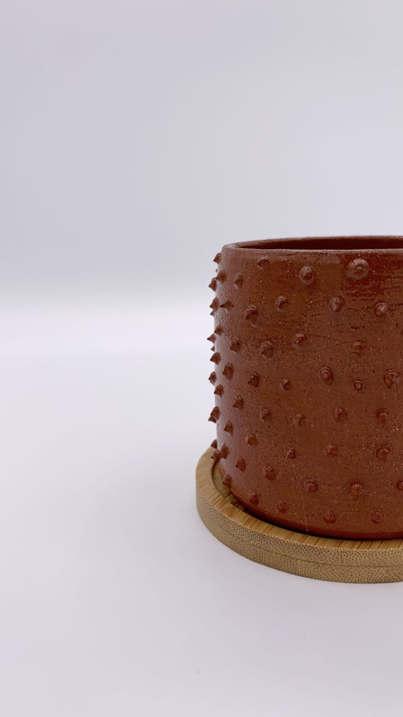 SOLD Terracotta spikey plant pot with bamboo coaster